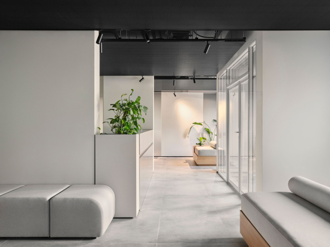 ���� ��� ������ �����������