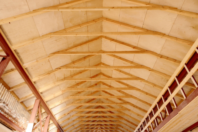 ��� �� �����