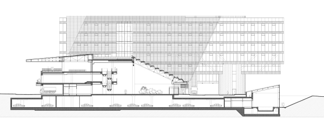 Longitudinal section. The UAC headquarters building in Zhukovsky