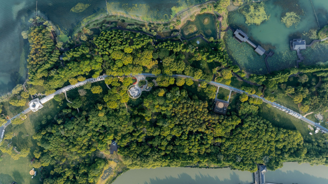   Emerald Screen Pergola  