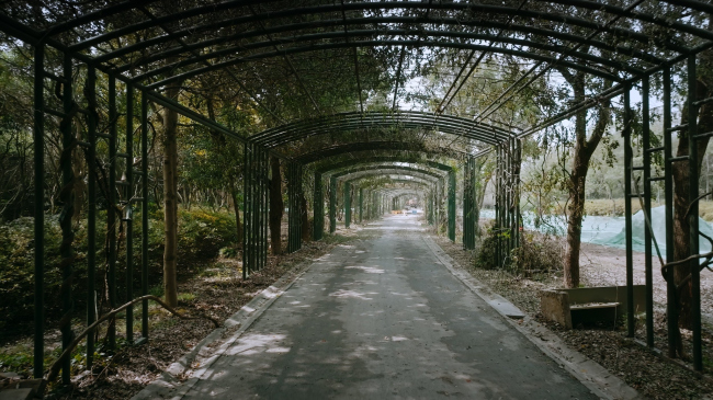 �������� �������� Emerald Screen Pergola � ��� � ��������� �� �������������