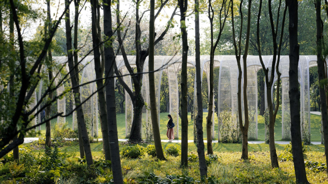   Emerald Screen Pergola  