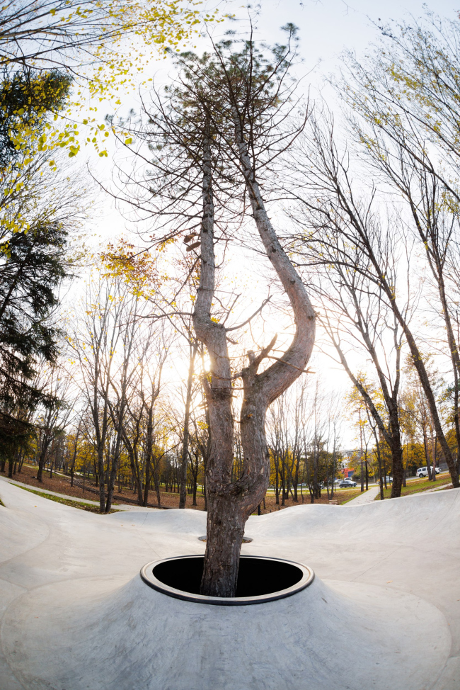 Снейк-ран «Лермонтов» Снейк-ран «Лермонтов»