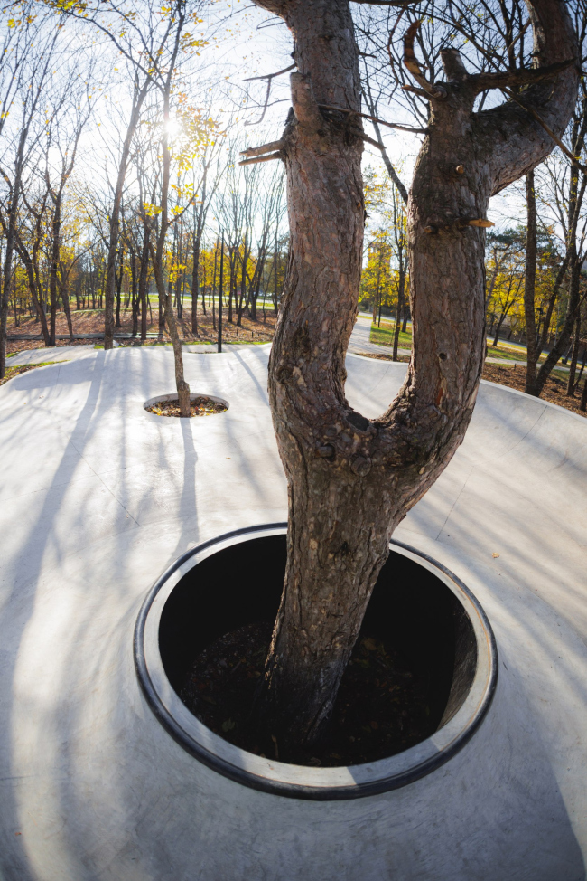 Снейк-ран «Лермонтов» Снейк-ран «Лермонтов»