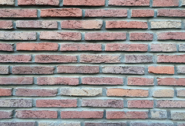 D_Станция, 11.2024 D_Станция, 11.2024