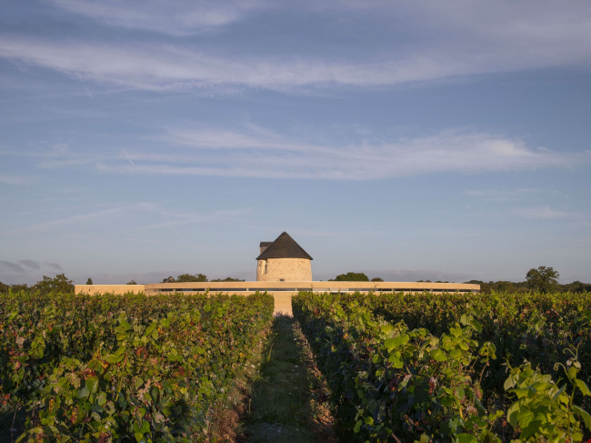 ������ ������ ��� ���������� Vignoble de Rhuys