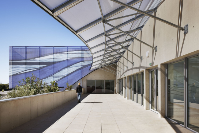 ���������� ��� ����� ������� ������ � ����