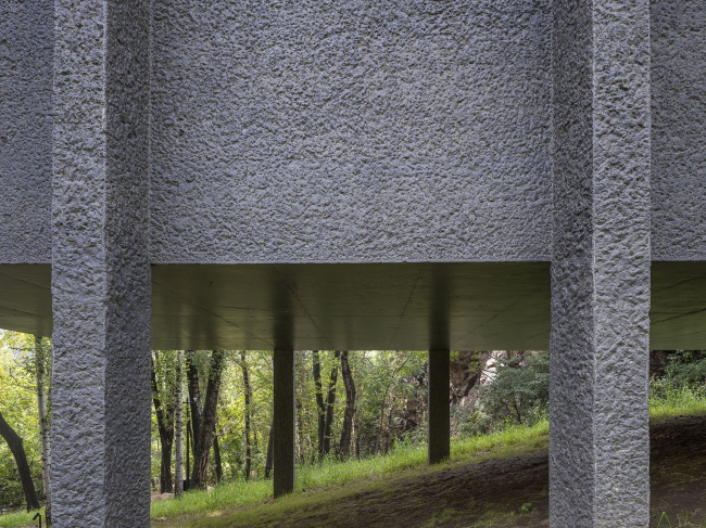 ���� �� ������� ��������� ����� � ����� ��������