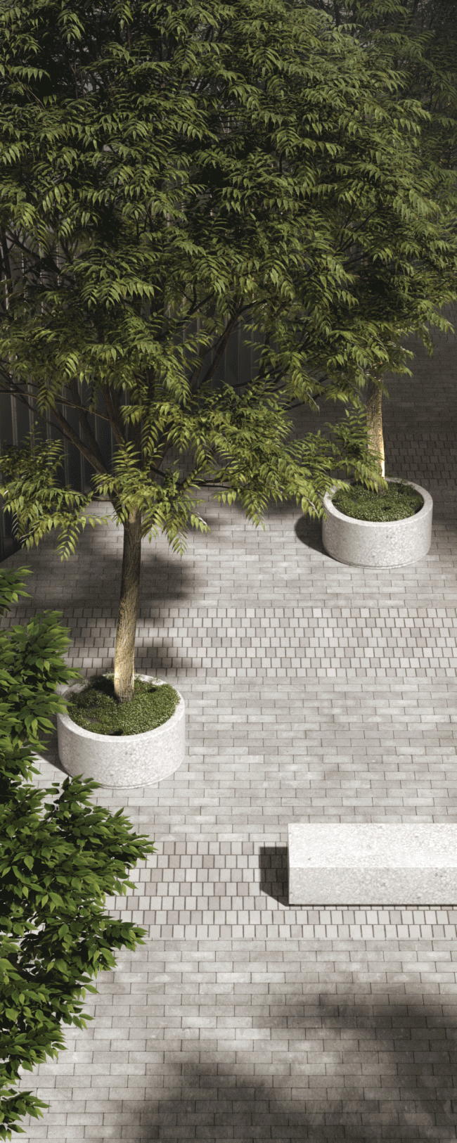 ������-����� �� ���������