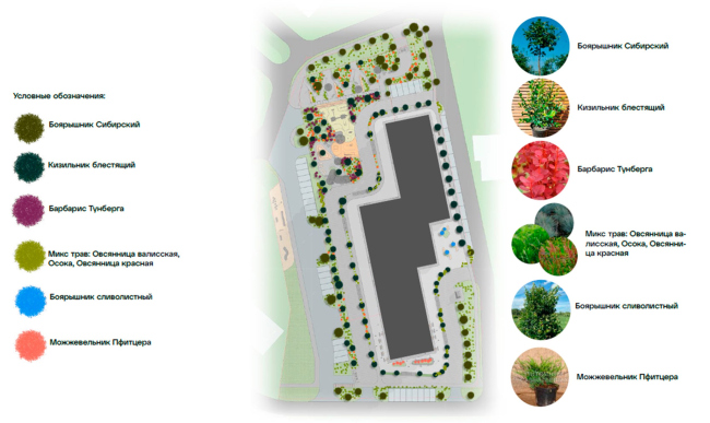 �� �������. ����� ����������