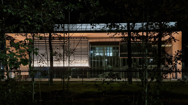 ������ ���� � ��������