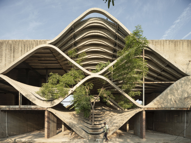 ����� ��� Gulmohar � ����������