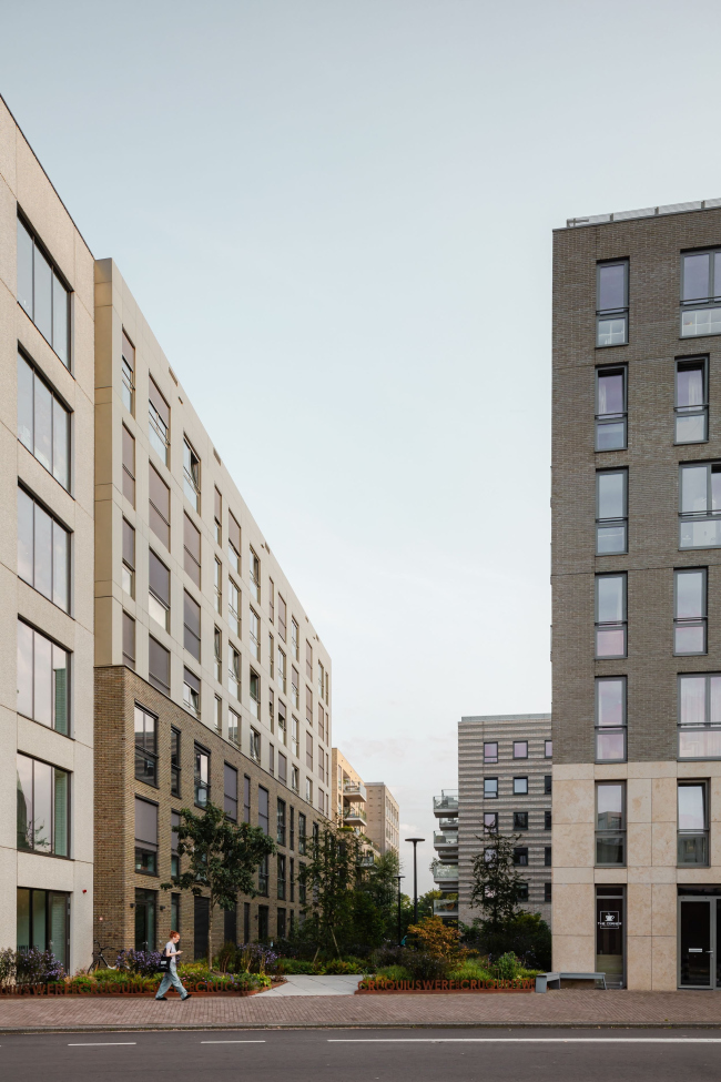 Жилая застройка острова Крюкиус Жилая застройка острова Крюкиус