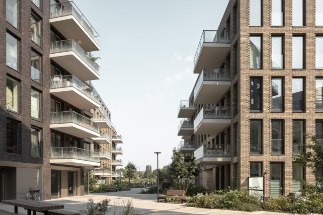 ����� ��������� ������� �������