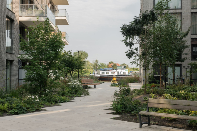 Жилая застройка острова Крюкиус Жилая застройка острова Крюкиус