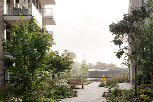 Жилая застройка острова Крюкиус Жилая застройка острова Крюкиус