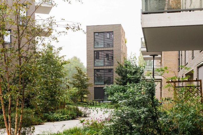 Жилая застройка острова Крюкиус Жилая застройка острова Крюкиус