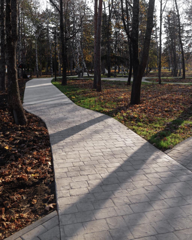 Snake run Lermontov