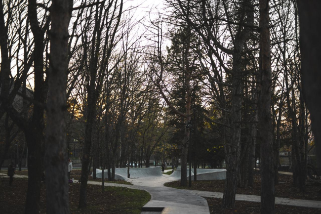 �����-��� ����������