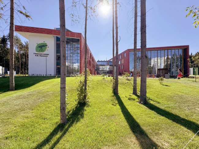View of the school from the forest