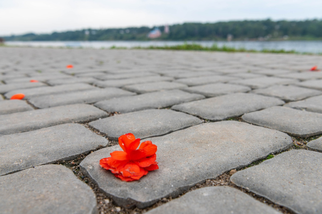 ������� ���������� ������� ������� �� ���������� � �������