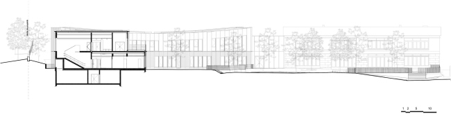 ��������� ����� Les Violettes (�������) � �����-�����