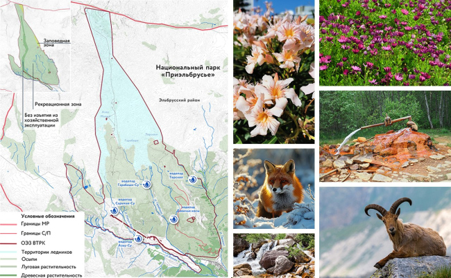 ������������� ������� ������-����������� ������������ ������. ���� �������. ������������ ���� ������������