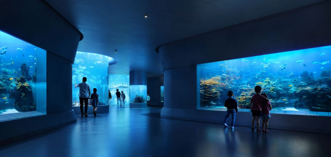 ����� ����������������� ��������