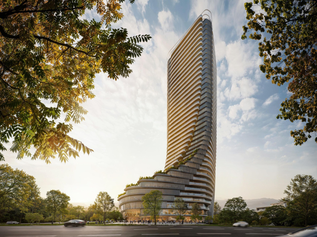����� � ��������� Cityzen