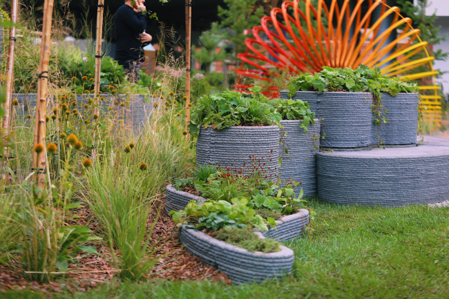 �����-����������� ���� ����������