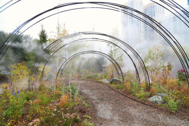 �����-����������� ���� ����������. ��� ������ �������