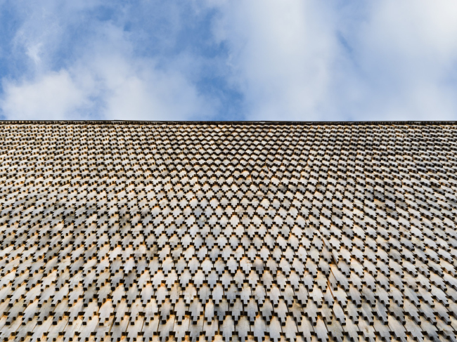 �����-����� ��������