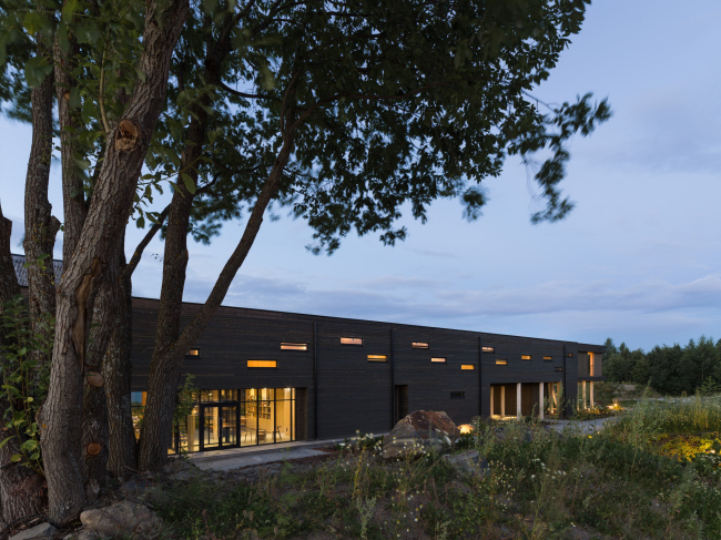 �����-����� ��������