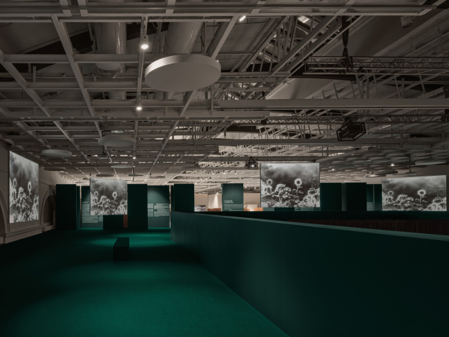 ������� ������ � ������� ������. 1941-1945