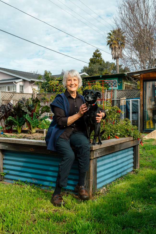 ����� �������