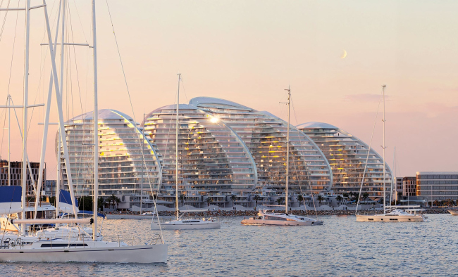 ����� �������� Oystra