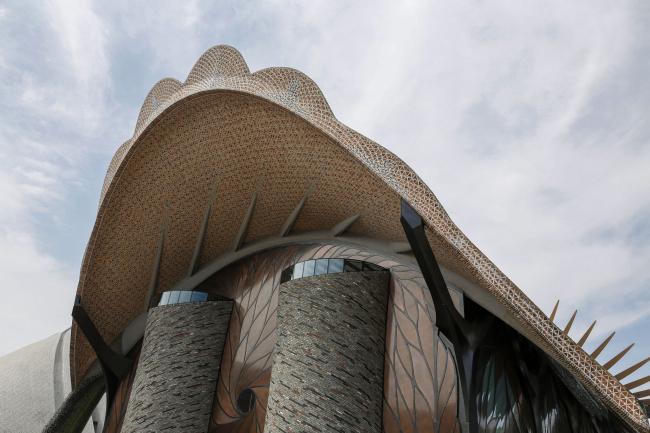 ������ �������� Marisfrolg