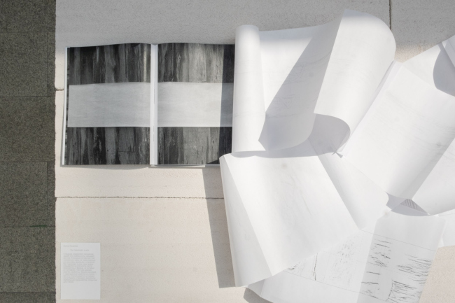 ���������. ��� ������ 2025