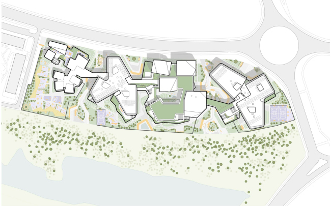 Sirius educational complex. The master plan Sirius educational complex. The master plan