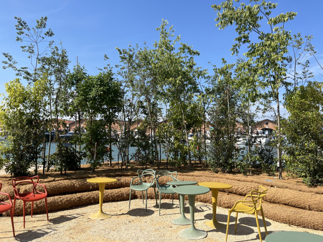 XIX ������������� �������� �������, 2025. �������