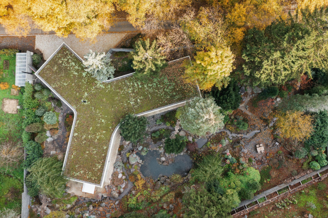 ����� ��������