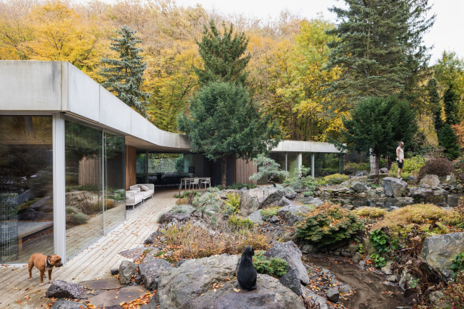 ����� ��������