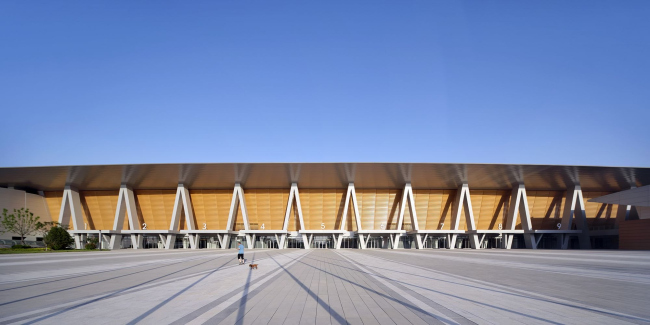 Аграрный экспо- и конференц-центр дельты Хуанхэ Аграрный экспо- и конференц-центр дельты Хуанхэ