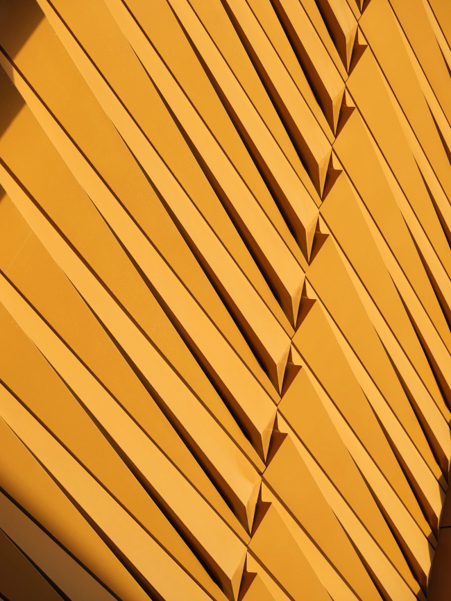 Аграрный экспо- и конференц-центр дельты Хуанхэ Аграрный экспо- и конференц-центр дельты Хуанхэ