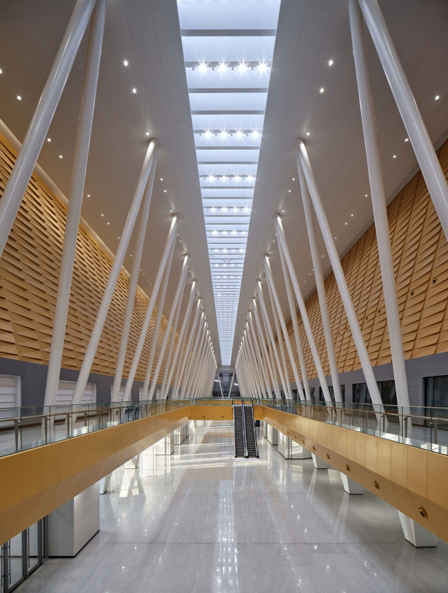 Аграрный экспо- и конференц-центр дельты Хуанхэ Аграрный экспо- и конференц-центр дельты Хуанхэ