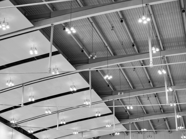 Аграрный экспо- и конференц-центр дельты Хуанхэ Аграрный экспо- и конференц-центр дельты Хуанхэ