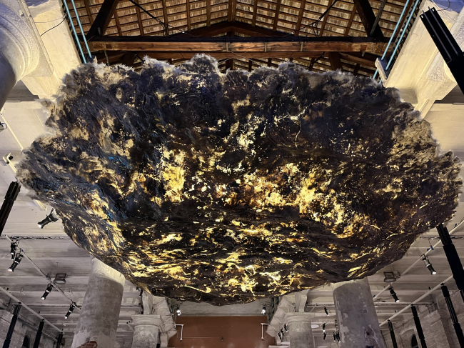 XIX ������������� �������� �������, 2025. ����������� ���������� � ��������