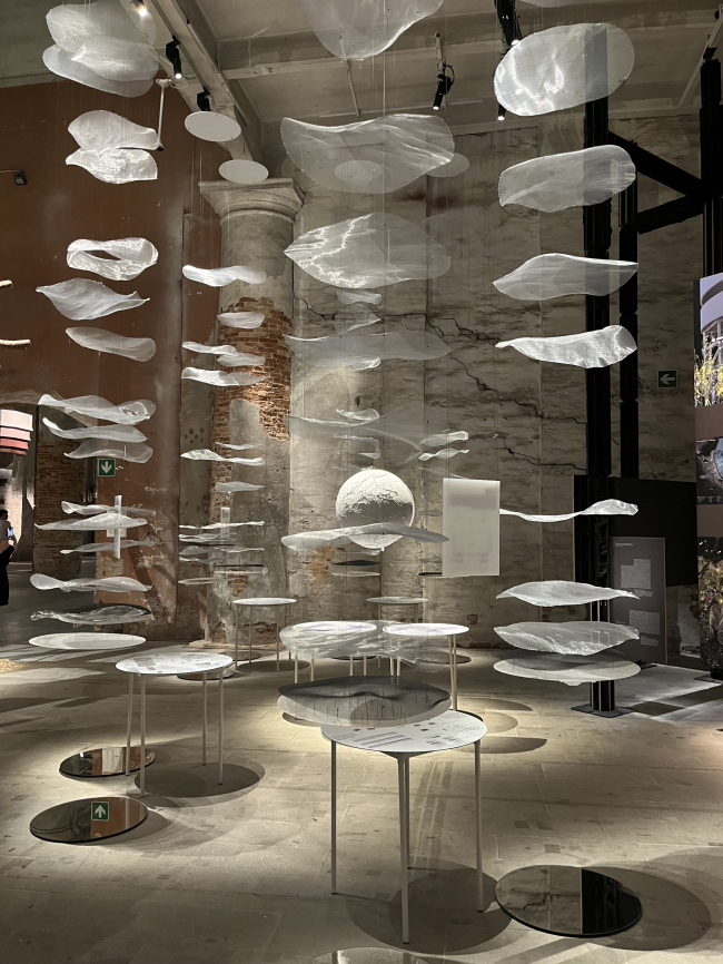 XIX ������������� �������� �������, 2025. ����������� ���������� � ��������