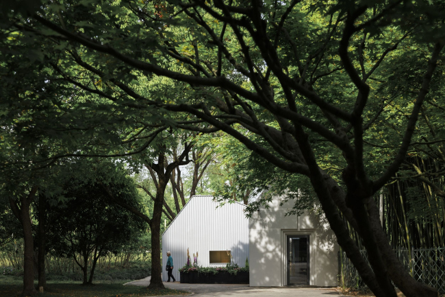 �������� ���� � �����