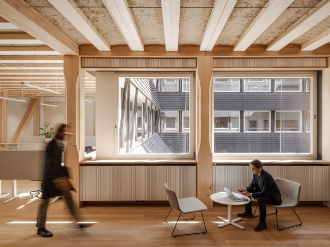 ������� ������ HORTUS